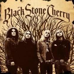 Download Black Stone Cherry ringtones for Nokia 5.3 free.