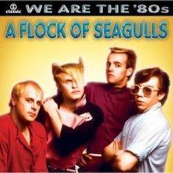 Download A Flock Of Seagulls ringtones free.