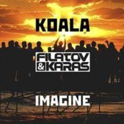 Download Koala ringtones for Nokia C2-00 free.