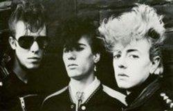 Cut Stray Cats songs free online.