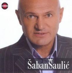 Cut Saban Saulic songs free online.