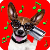 Best pets ringtones for phones and tablets.